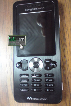 Sony Ericsson W302 - Feng
